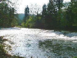 la Semoy
