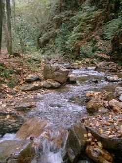 Le ruisseau de la Lyre