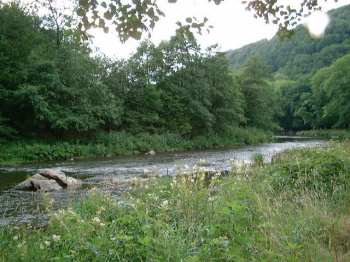 La Semoy : un affluent de la Meuse s'y jetant  Montherm